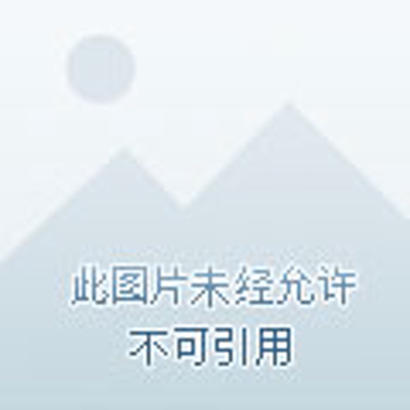 深圳供应链行业动态:应对复杂多变的市场环境
